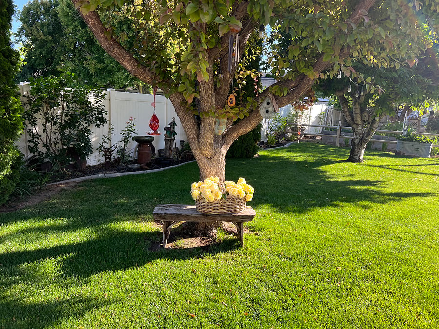 Furnished Finder property 675543_1 photo 11