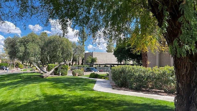 Lush grounds and tall trees