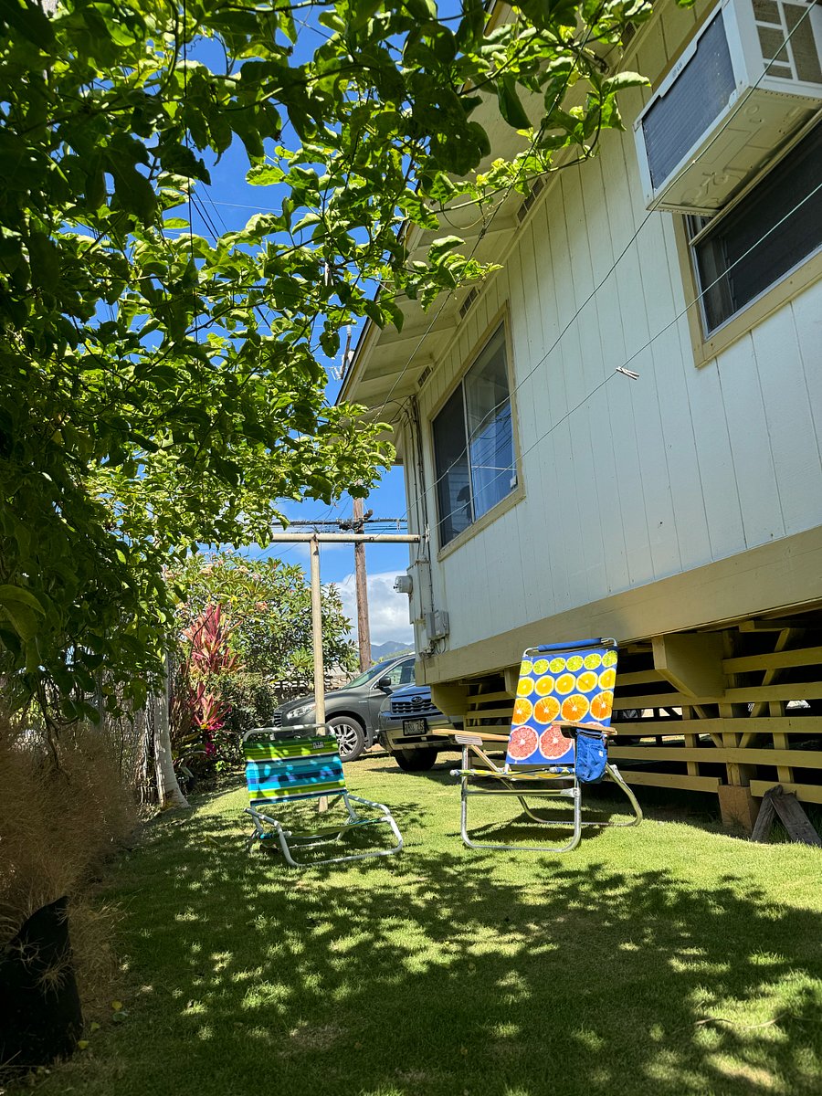 Lounge under the shade of a passionfruit vine