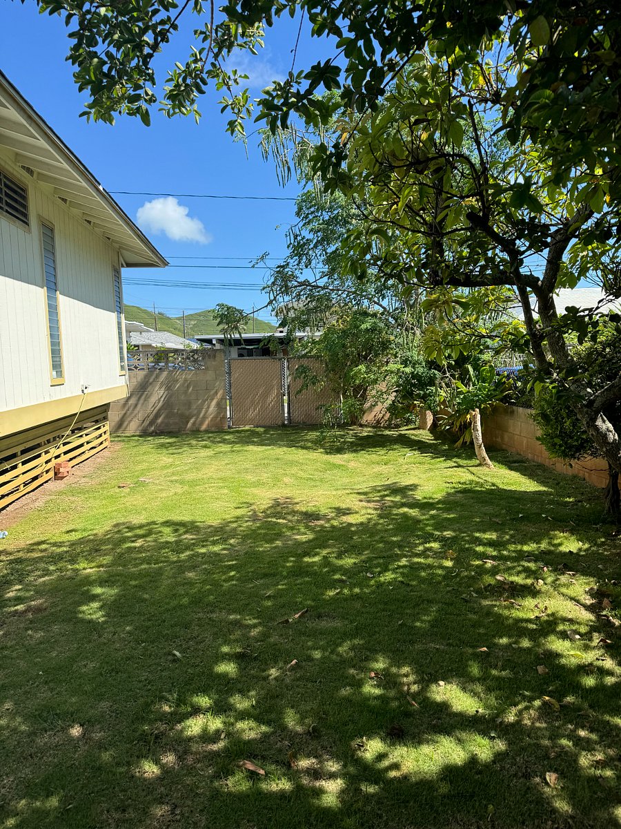 Spacious back yard with fruit trees (lemon, papaya, passionfruit, guava)