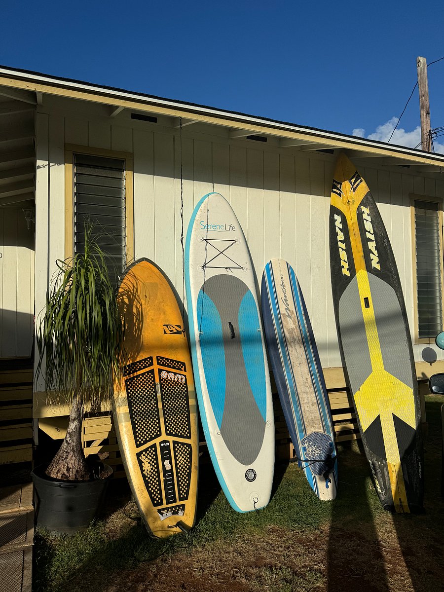 Paddle and surf boards for your use
