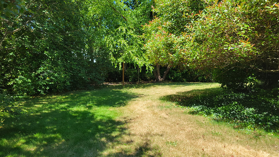 Very private yard - shared