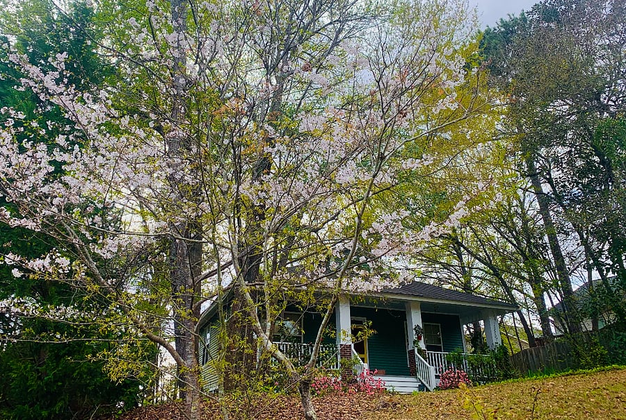 front of house