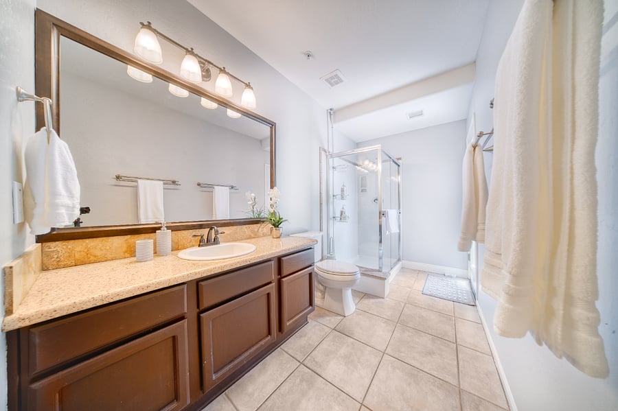 Downstairs Guest Bath 2