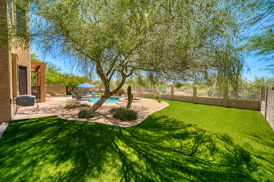 Backyard with Turf