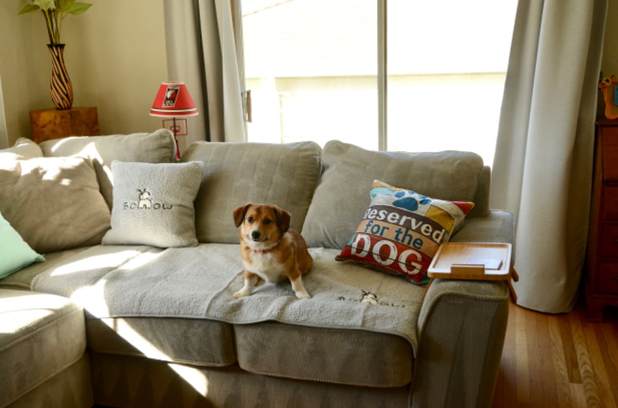 Furnished Finder property 676161_1 photo 29