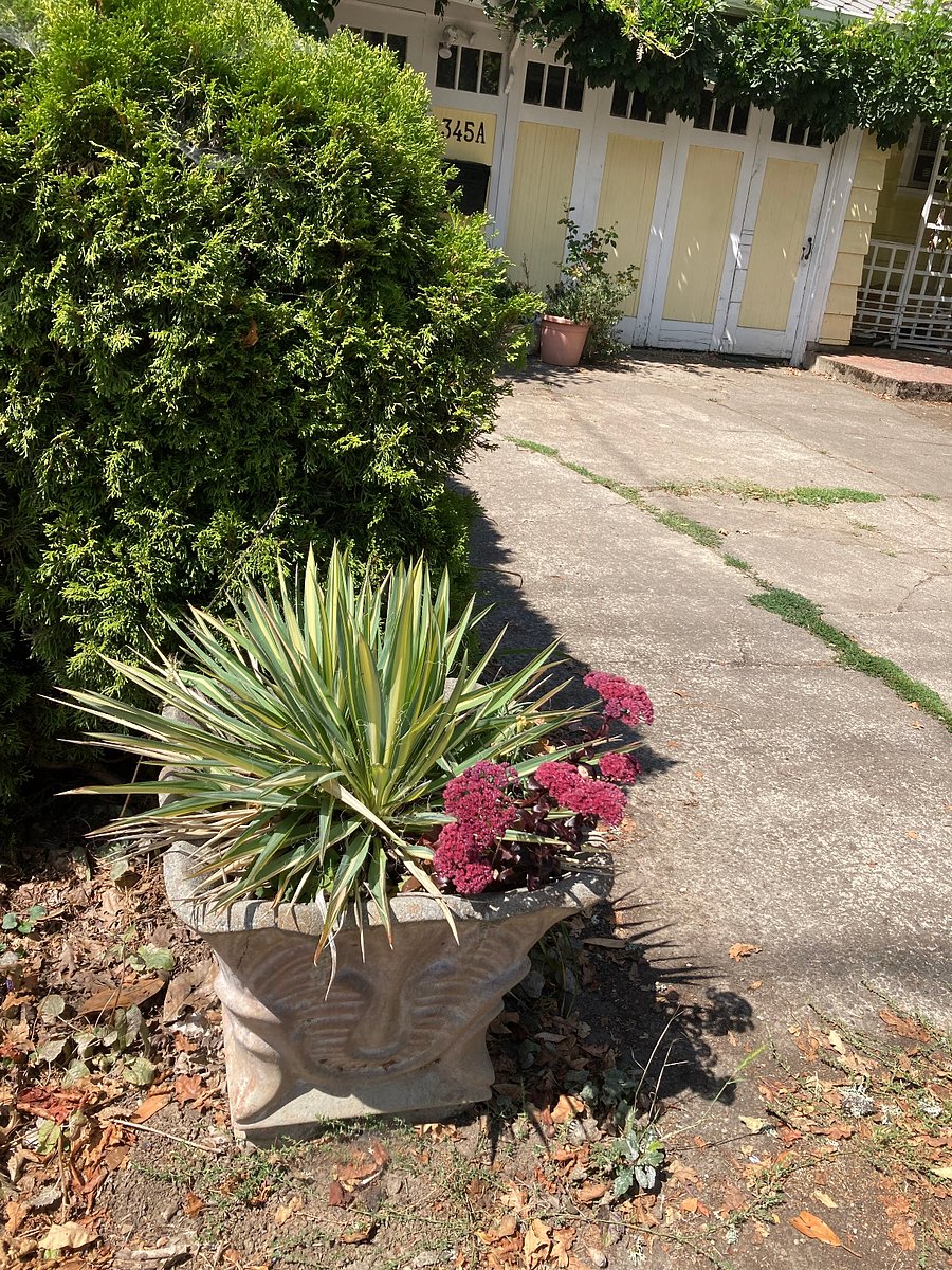 Furnished Finder property 676172_1 photo 45