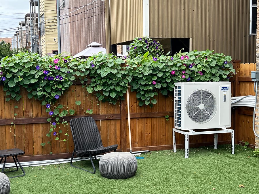 Backyard during summer/fall season.
