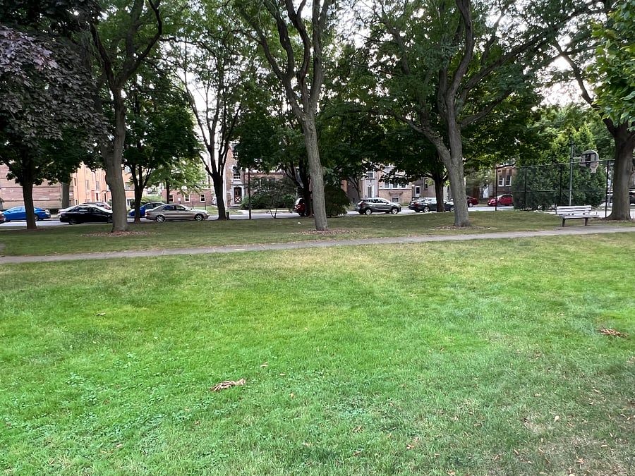 Lee park directly behind building.