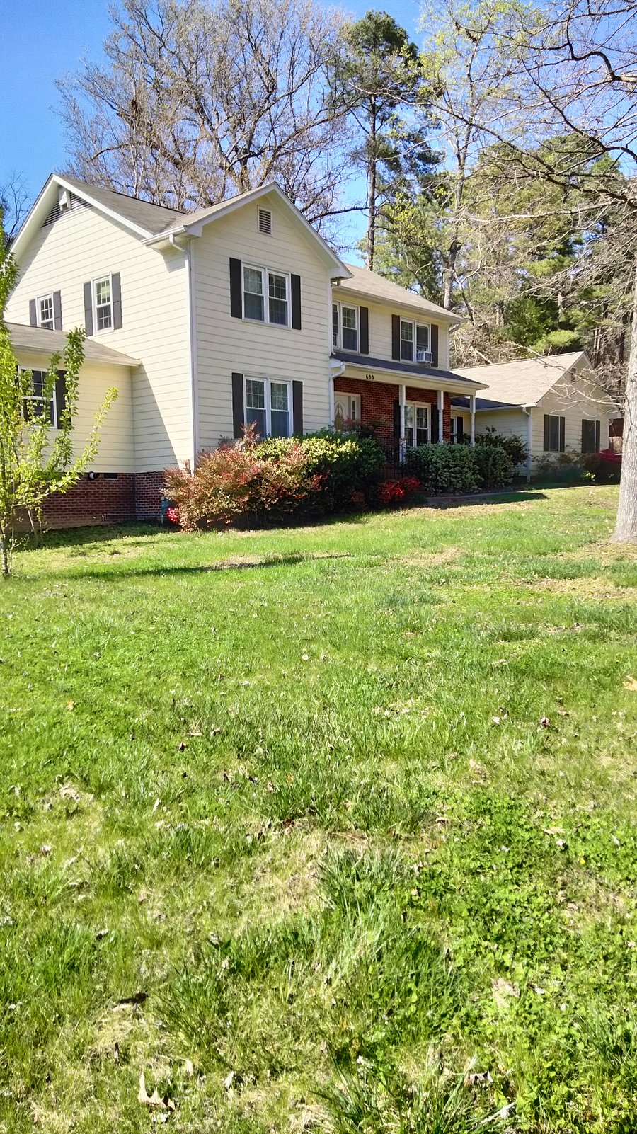 Front yard