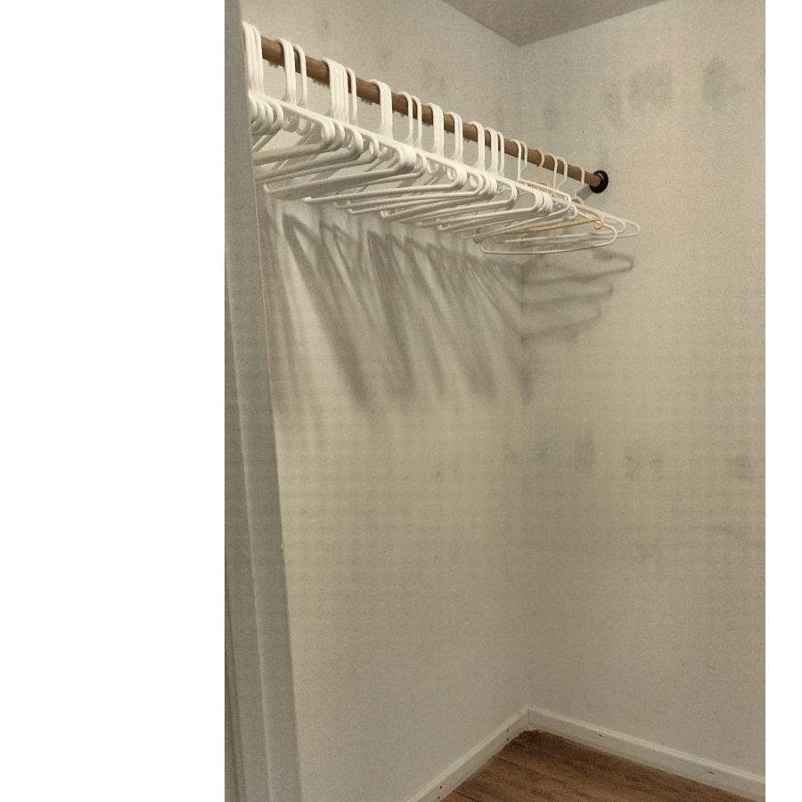 Walk-in closet with hangers