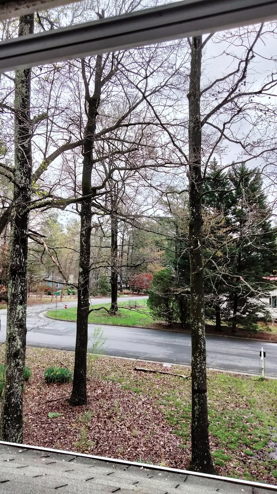View from bedroom window