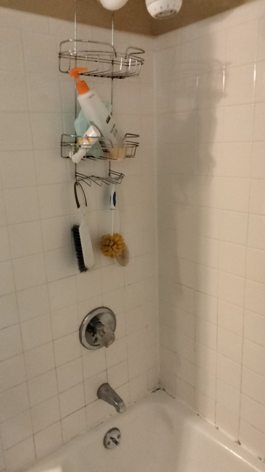 Hallway bathroom shower