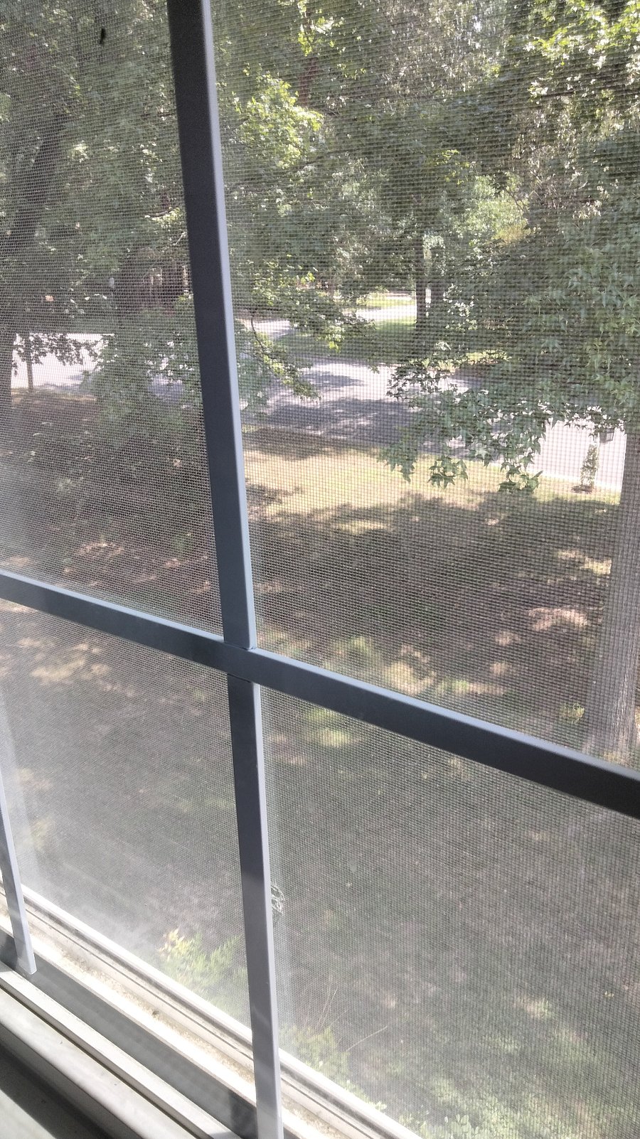 View into front yard