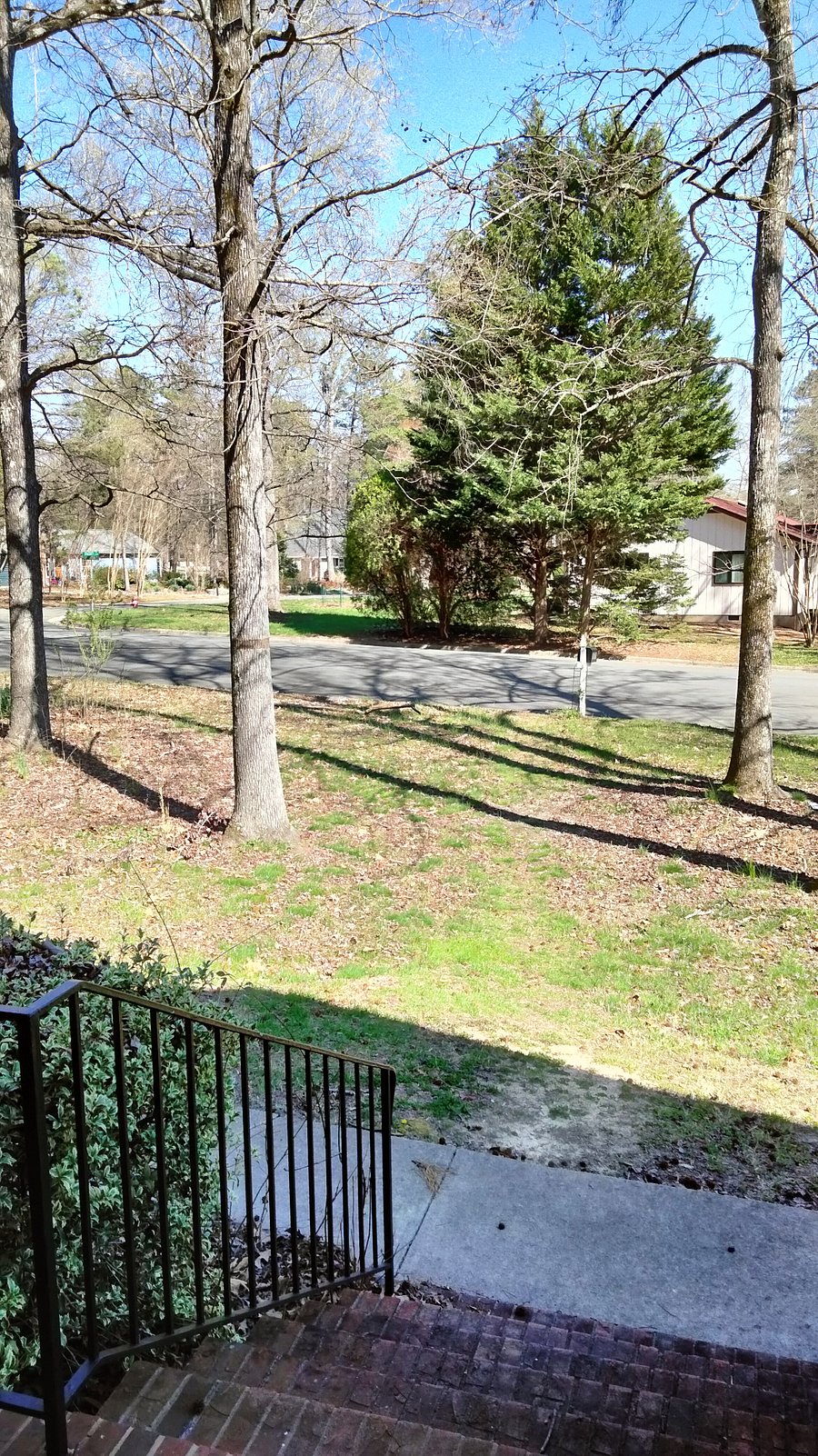 Front yard view from front door