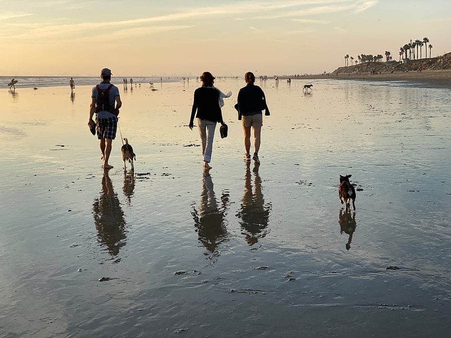 Dog Beach 15 min walk.
