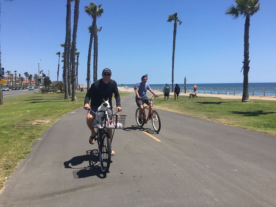 Miles and miles of bike paths along the beach. Ride to Newport Beach and the Back Bay going south, or Bolsa Chica and Sunset Beach going north. Lots of beach amenities along the way.