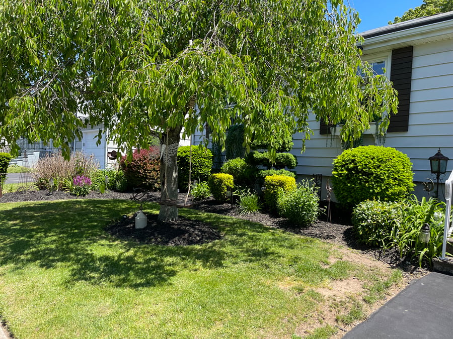 Furnished Finder property 676363_1 photo 4