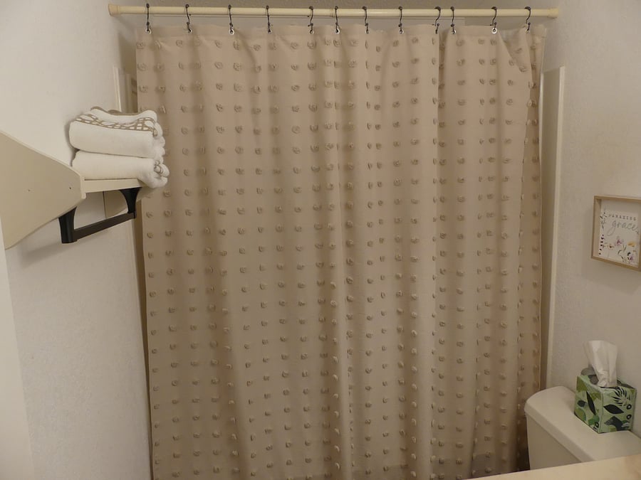 guest bath shower