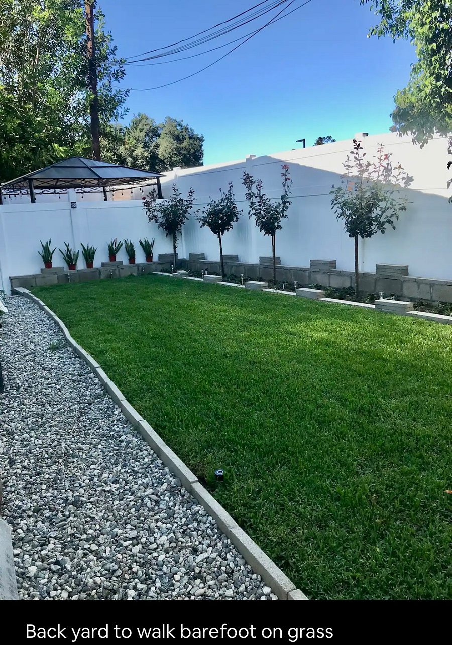Lush grassy backyard 