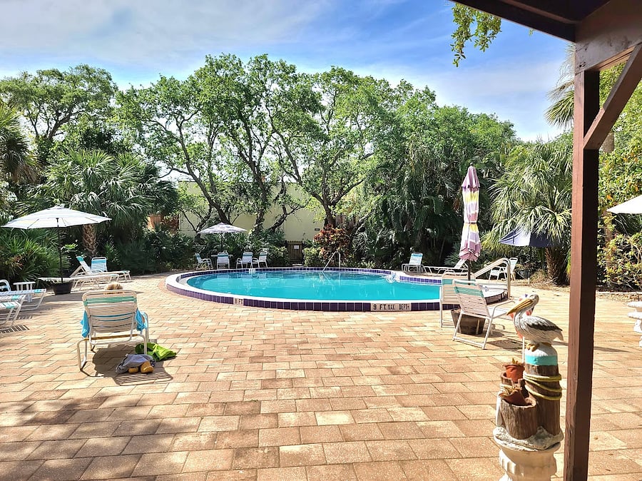 Adult pool