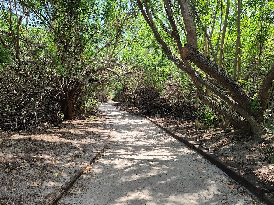 Shady nature trail to beach