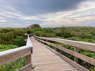 Boardwalk to beach. Look for gopher tortoises