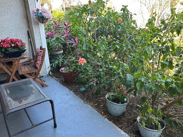 Private porch with tropical plantings