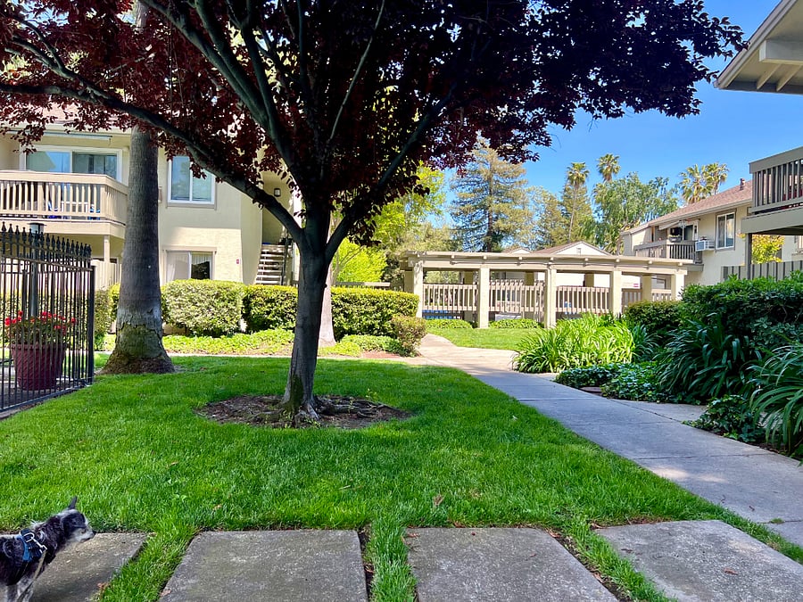 Furnished Finder property 676549_1 photo 17