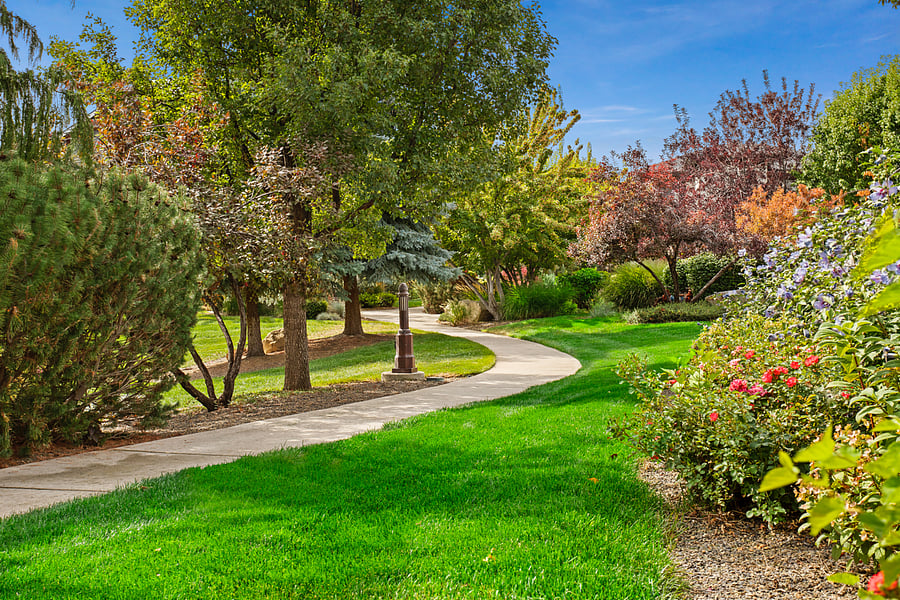 Community Park