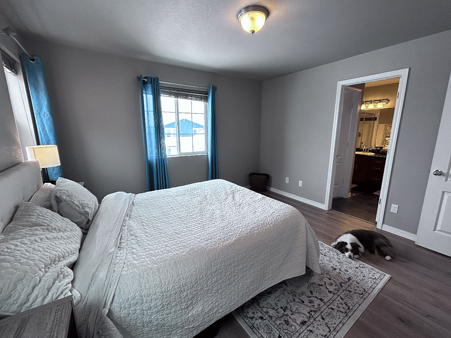 rental bedroom, dog not included