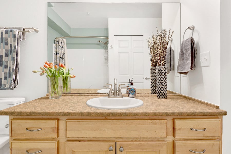 Spacious bathroom