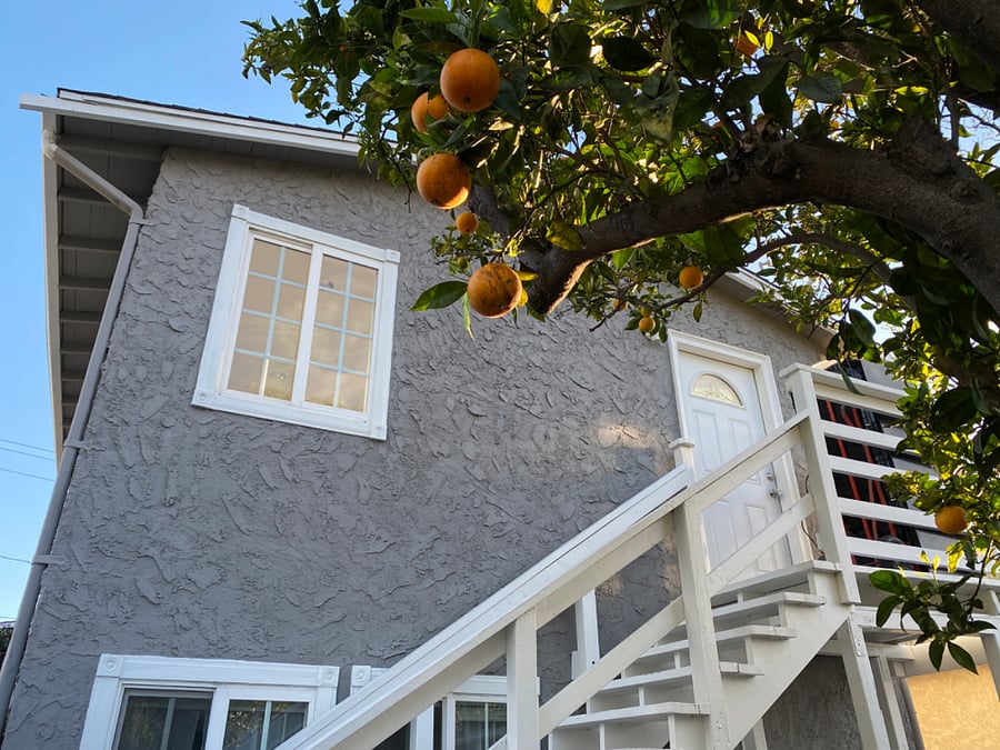 Furnished Finder property 676698_1 photo 4