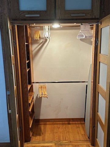 Guest Bedroom - Closet Open
