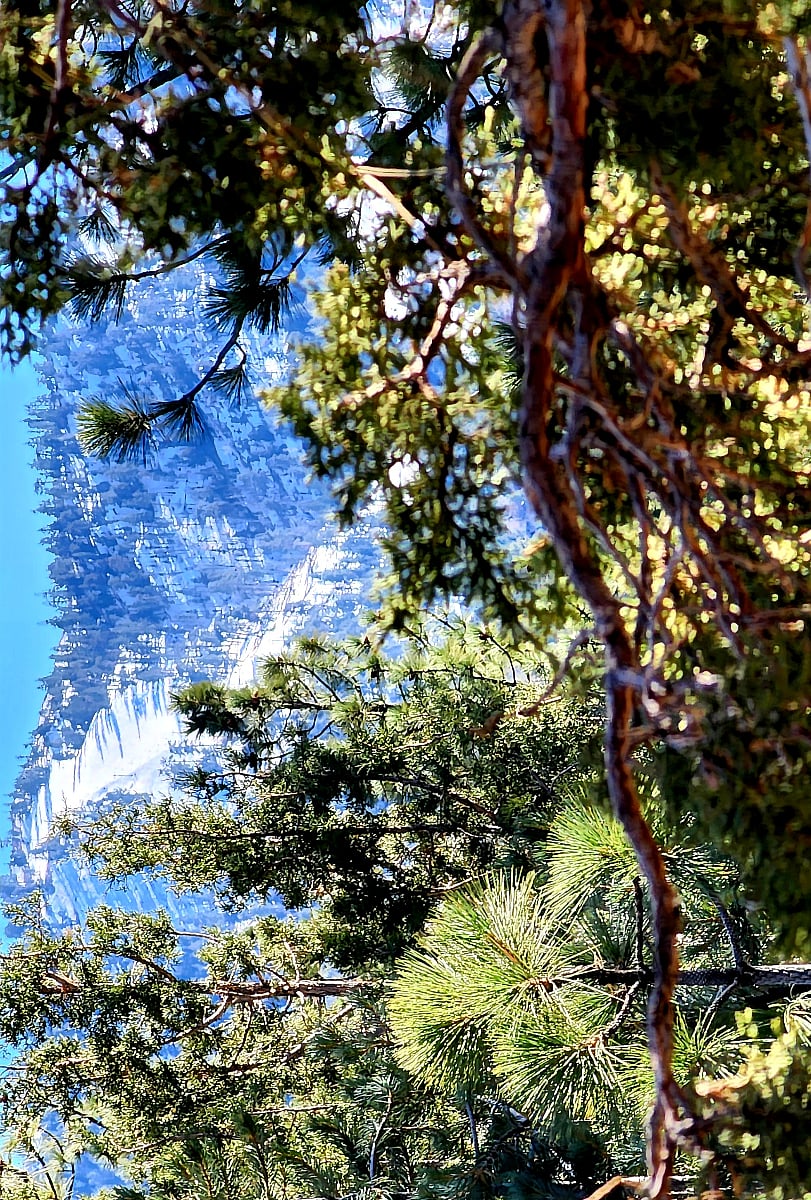 Take in beautiful mountain views and explore the trails around the cabin with friends and family. Some of the best hiking in Southern California awaitsperfect for photos, fresh air, and adventure. . 
