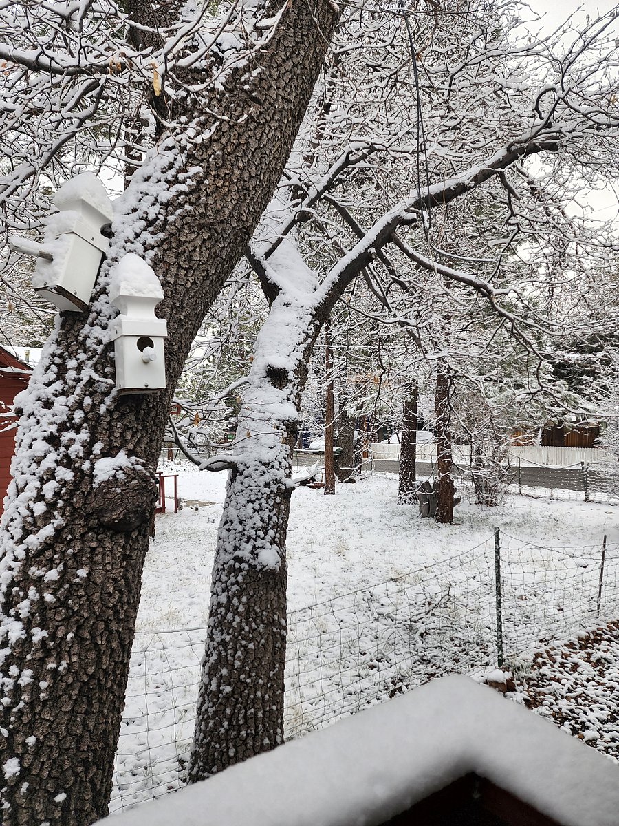 Enjoy a winter wonderland view from our back porch after a fresh snowfall! Breathe in the crisp mountain air and take in a stunning scene you wouldnt expect in Southern California. 