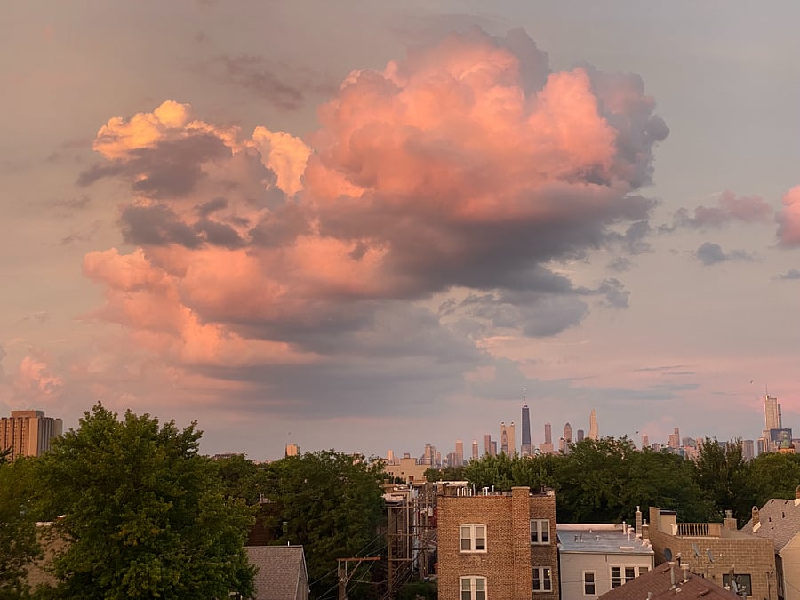 Rooftop Views
