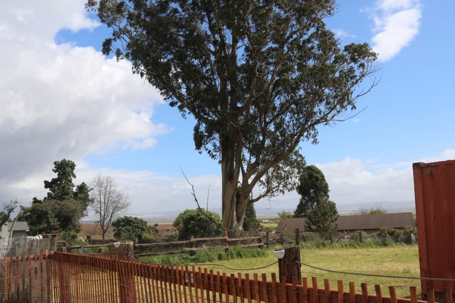 Views to the Santa Maria Valley
