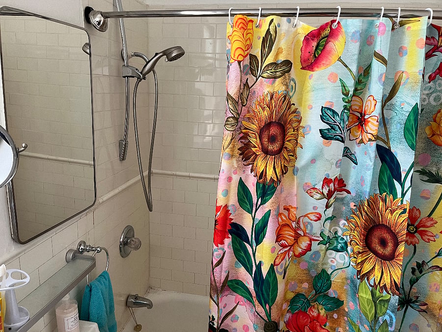 Shared tub and shower