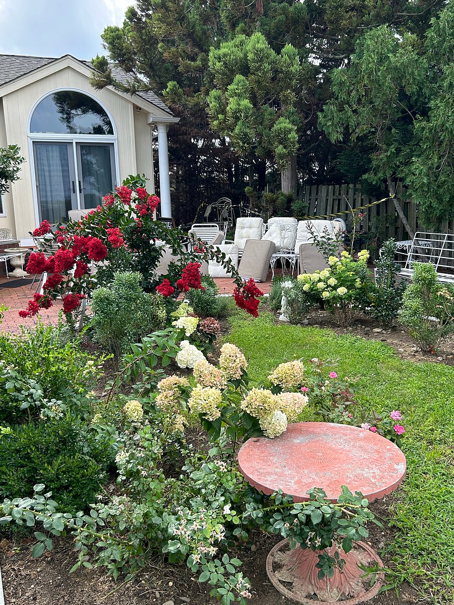Furnished Finder property 677095_1 photo 3