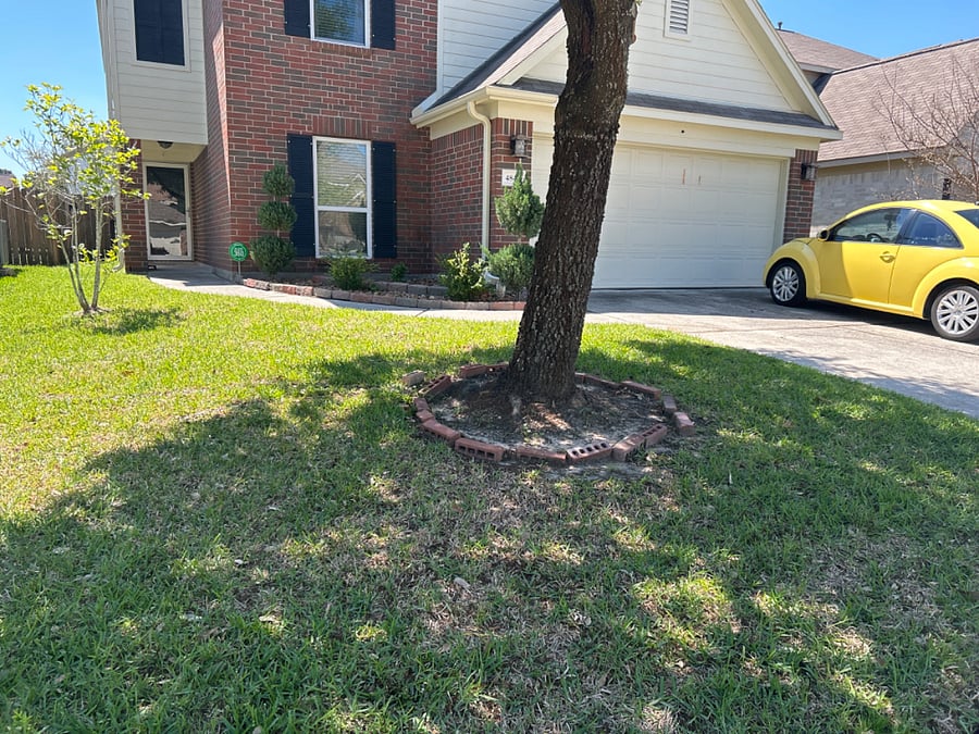 Furnished Finder property 677125_1 photo 5