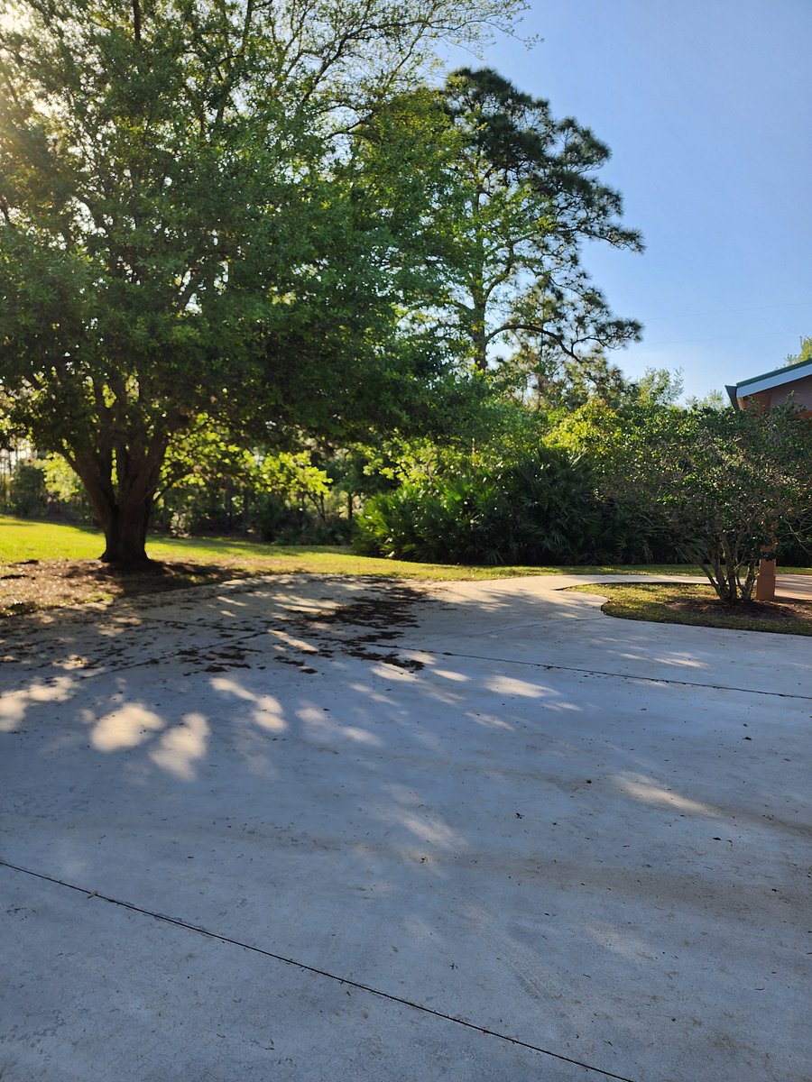 Furnished Finder property 677240_1 photo 16