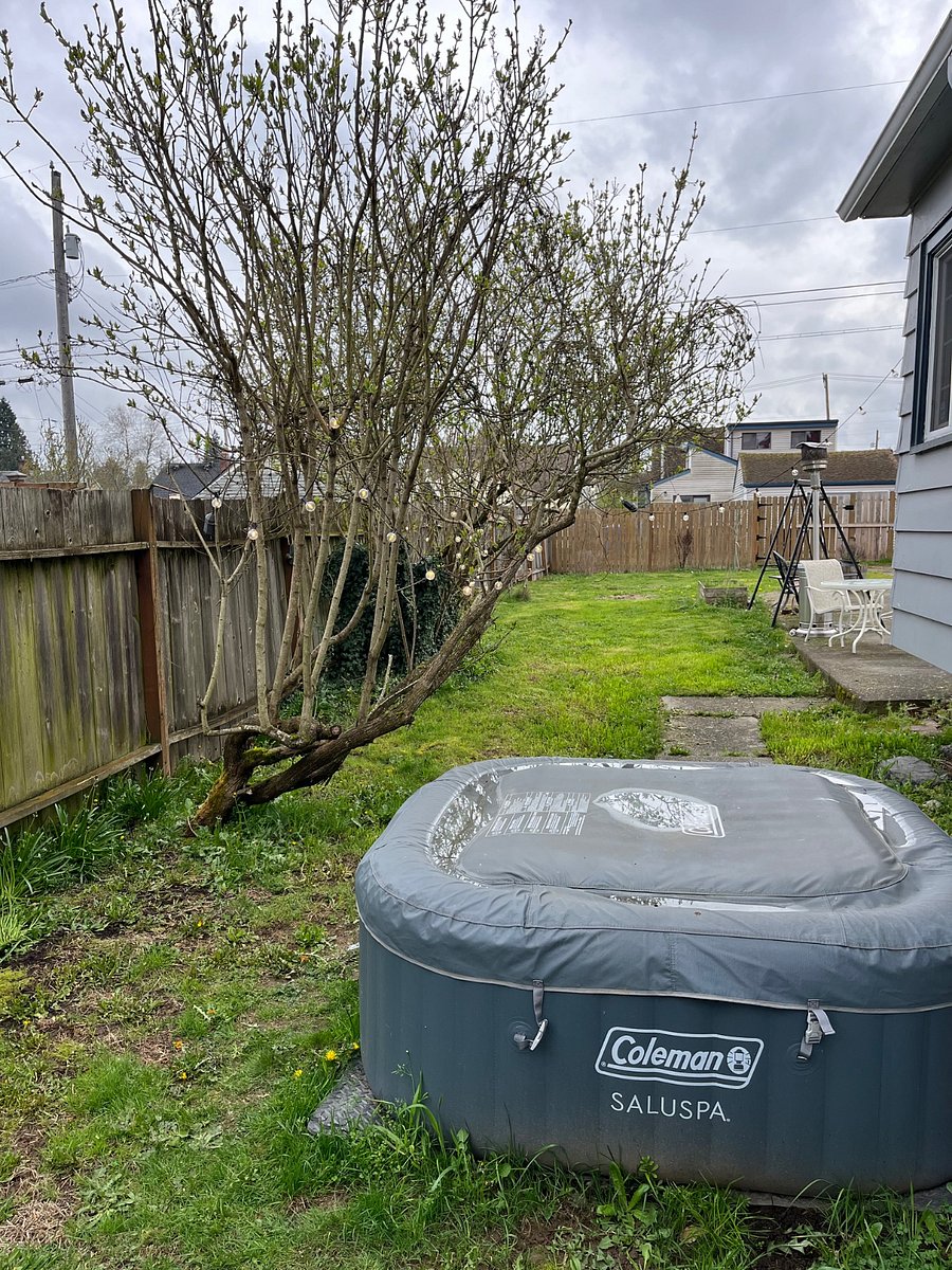 Furnished Finder property 677325_1 photo 15