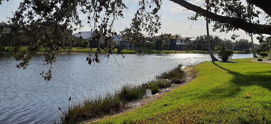 Furnished Finder property 677407_1 photo 22
