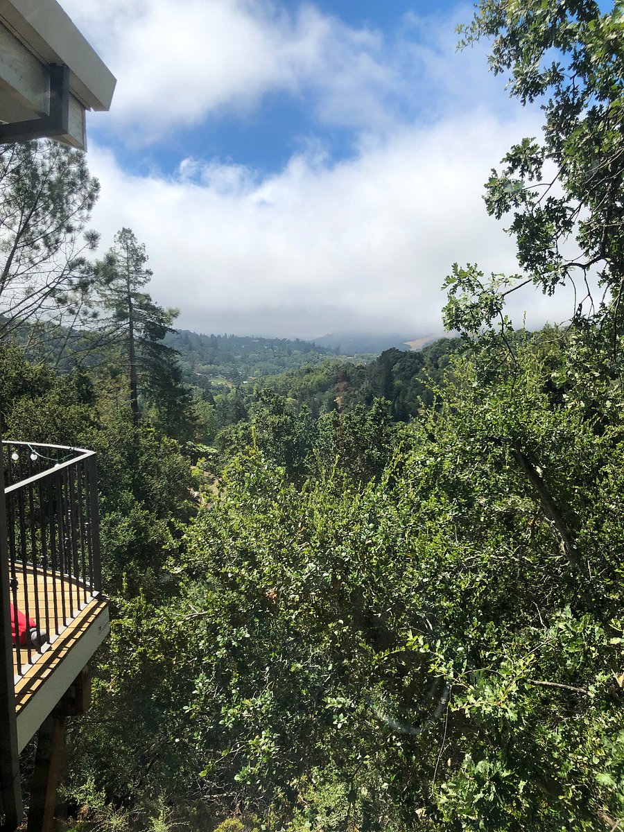 View from side of top deck. Taken from living room window.