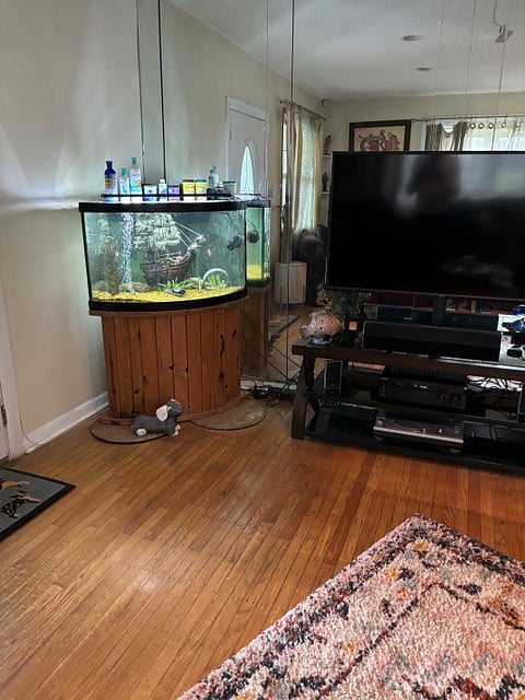 Furnished Finder property 677609_1 photo 7