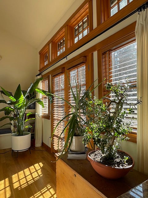 Beautiful wood windows and french doors bring in lots of natural light.