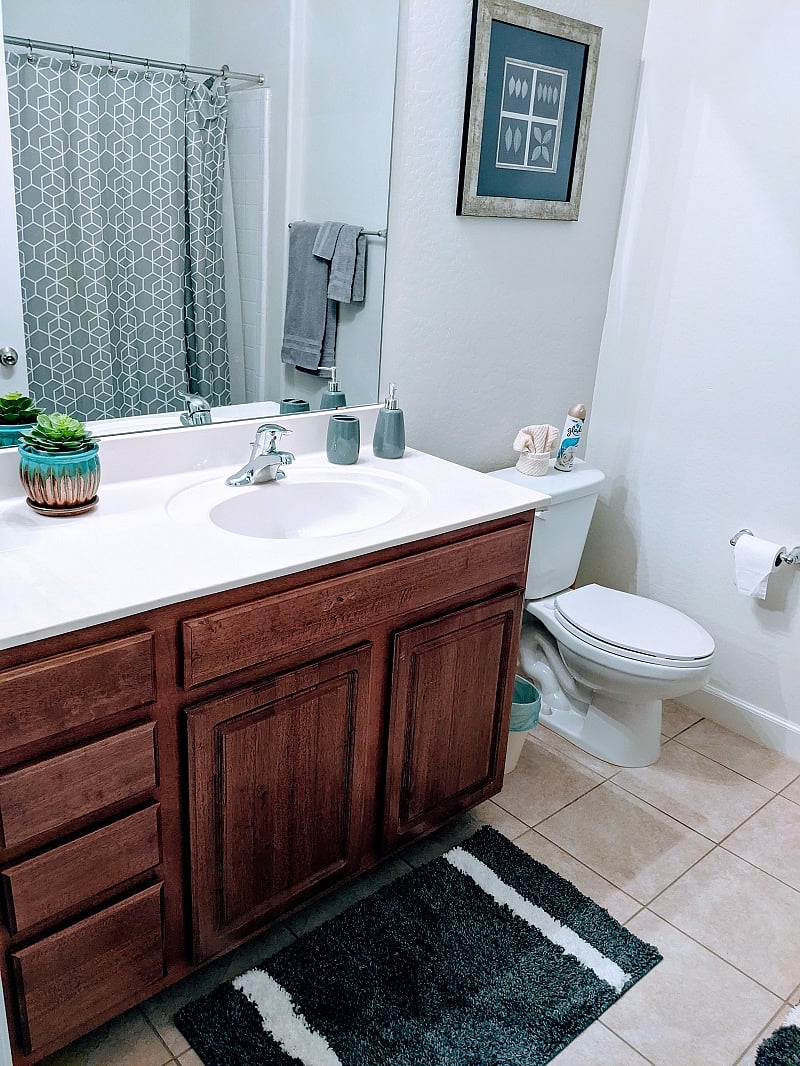 Guest bathroom