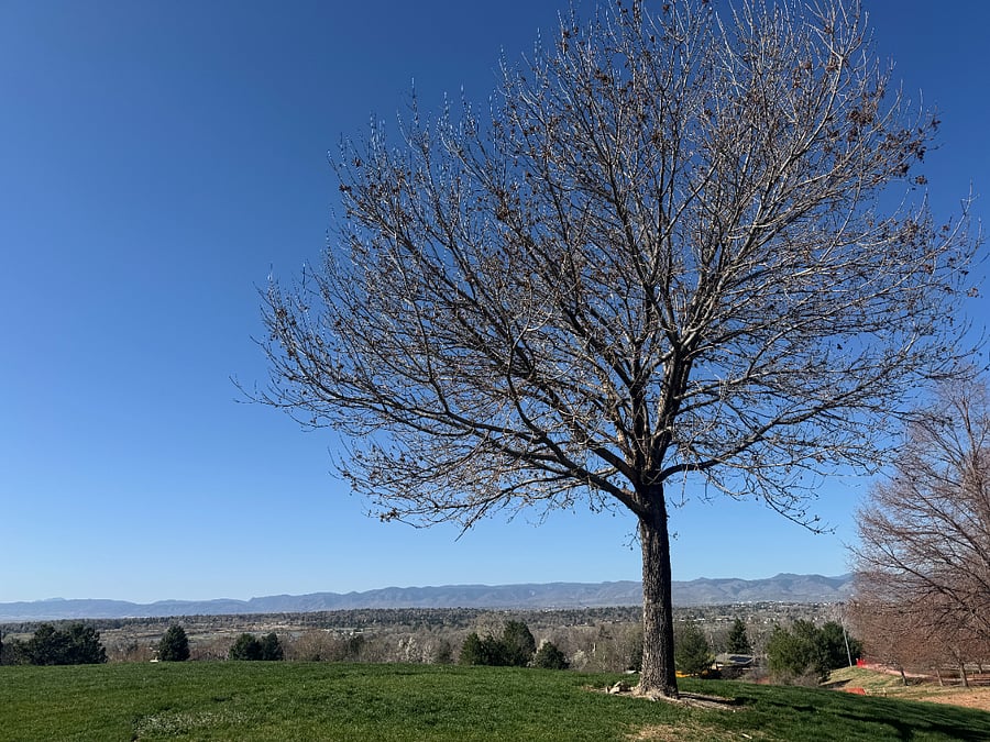 Loretto Heights Park half a mile away!