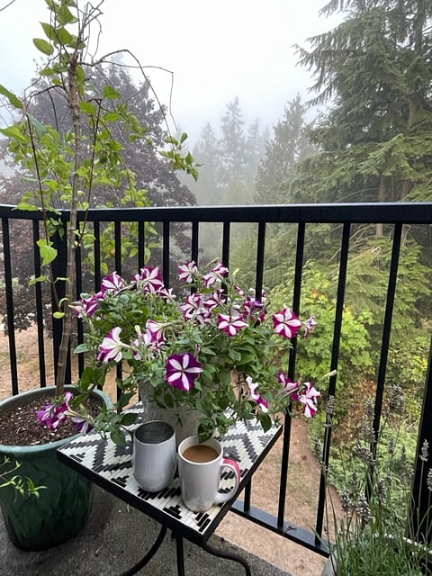 Love the greenbelt outside in the mornings!